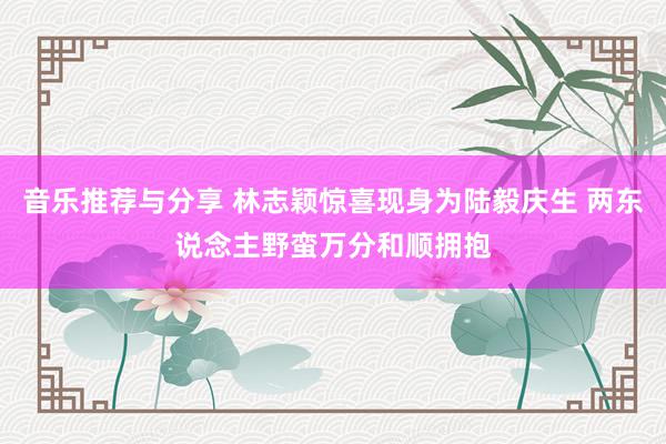 音乐推荐与分享 林志颖惊喜现身为陆毅庆生 两东说念主野蛮万分和顺拥抱