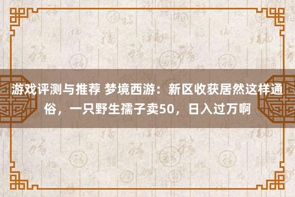 游戏评测与推荐 梦境西游：新区收获居然这样通俗，一只野生孺子卖50，日入过万啊